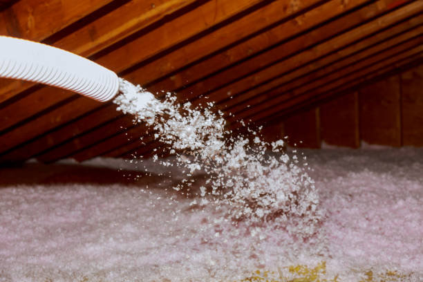 Best Insulation Maintenance and Repair in Highlands, TX