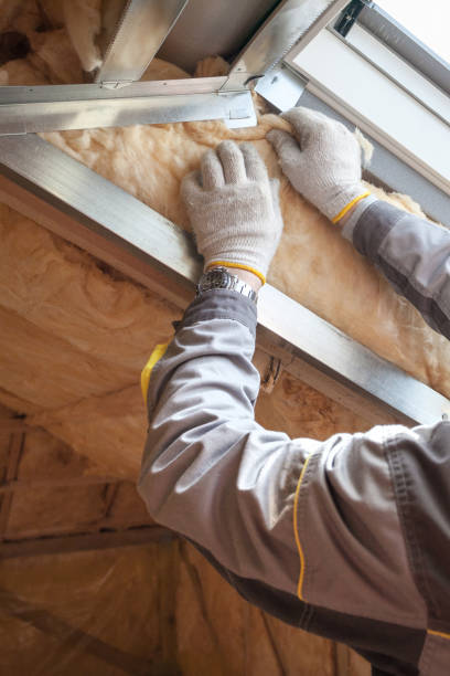 Best Commercial Insulation in Highlands, TX
