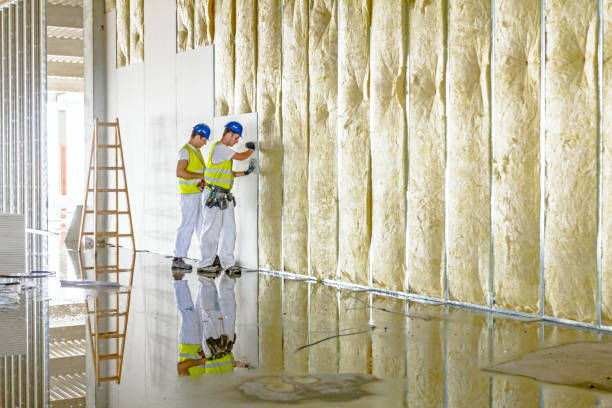 Best Residential Insulation in Highlands, TX